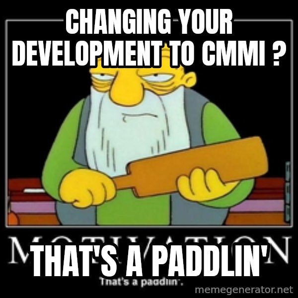 Thats a paddlin meme: changing your development to cmmi ? / That's a paddlin'