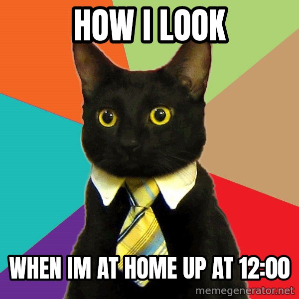 Business Cat meme: How I Look / When im AT Home Up AT 12:00