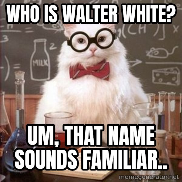 Chemistry Cat meme: Who is Walter White? / Um, that name sounds familiar..