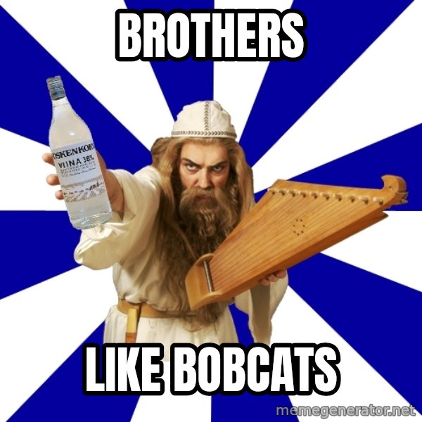 FinnishProblems meme: BROTHERS / LIKE BOBCATS
