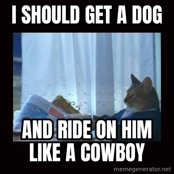 i should buy a boat cat meme: I SHOULD GET A DOG / AND RIDE ON HIM LIKE A COWBOY