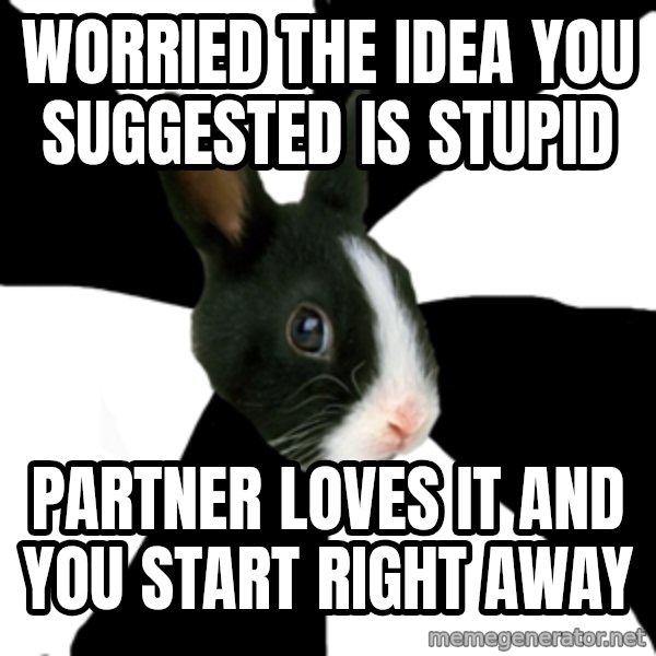 Roleplaying Rabbit meme: worried the idea you suggested is stupid / partner loves it and you start right away