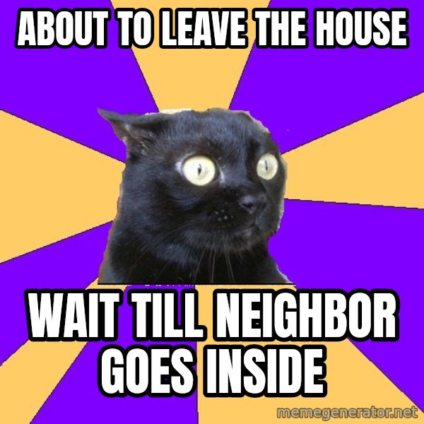 Anxiety Cat meme: about to leave the house / wait till neighbor goes inside