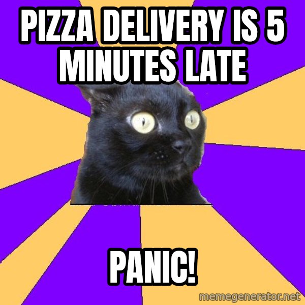 Anxiety Cat meme: pizza delivery is 5 minutes late / panic!
