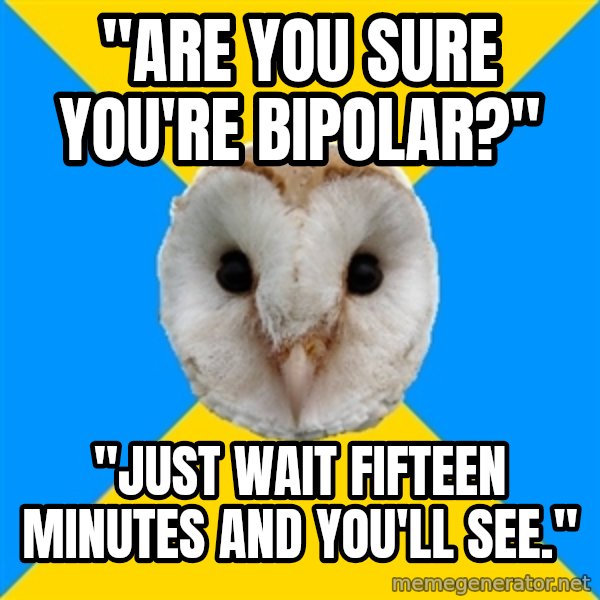 Bipolar Owl meme: "are you sure you're bipolar?" / "just wait fifteen minutes and you'll see."