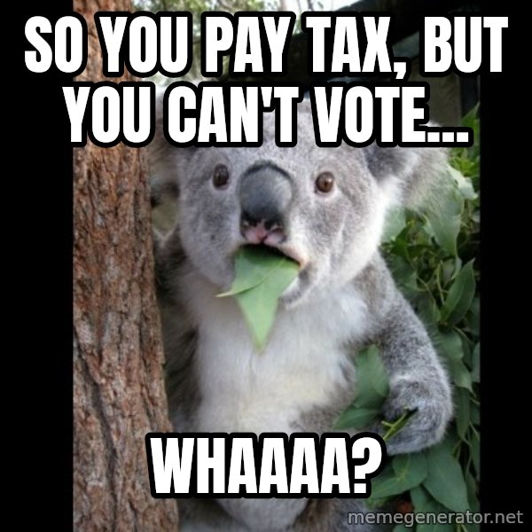 Koala can't believe it meme: so you pay tax, but you can't vote... / Whaaaa?