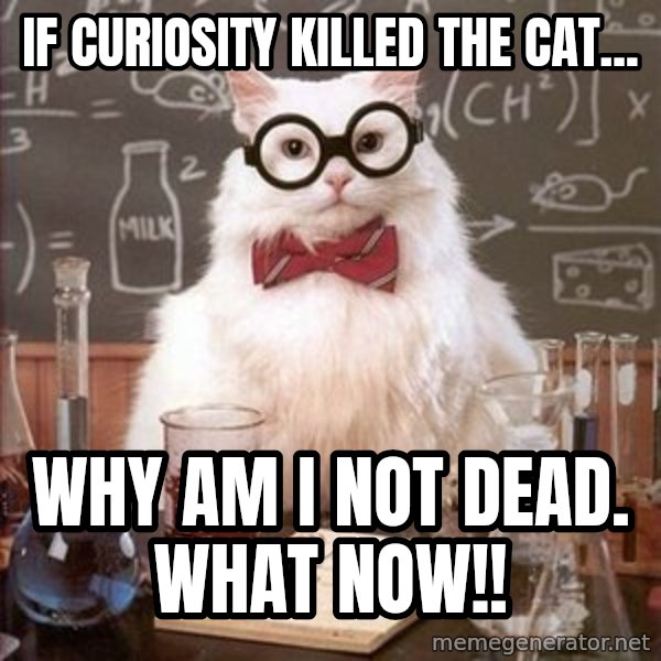 Chemistry Cat meme: if Curiosity killed the cat... / why am i not dead. what now!!