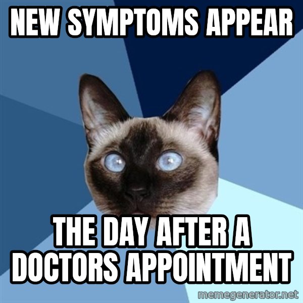 Chronic Illness Cat meme: New symptoms appear / the day after a doctors appointment