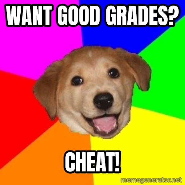 Advice Dog meme: want good grades? / cheat!