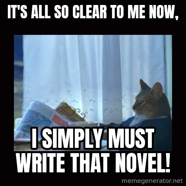 i should buy a boat cat meme: It's all so clear to me now, / I simply MUST write that novel!