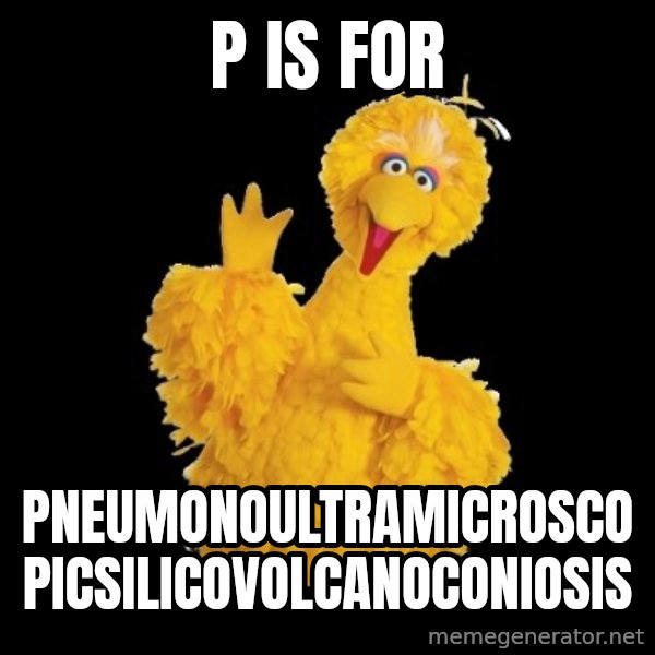 BIG BIRD meme meme: P is for / pneumonoultramicroscopicsilicovolcanoconiosis