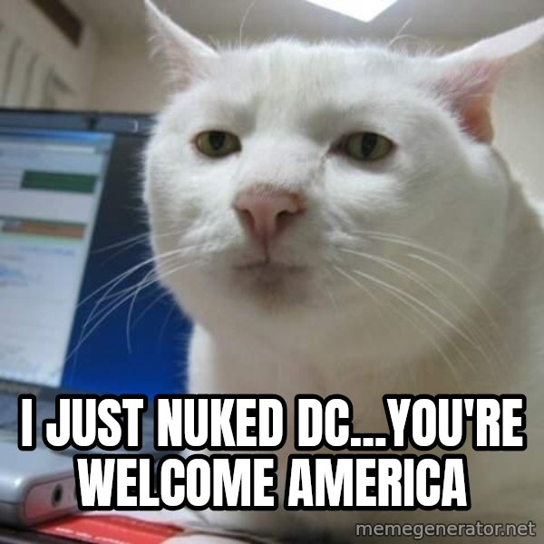 Serious Cat meme: i just nuked dc...you're welcome america
