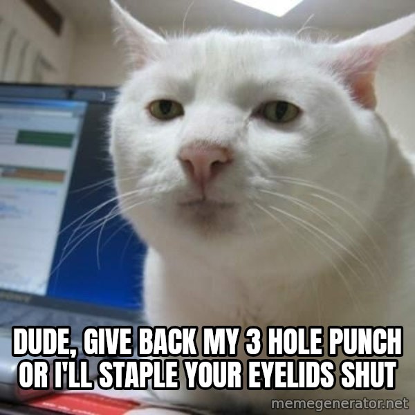 Serious Cat meme: dude, give back my 3 hole punch or i'll staple your eyelids shut