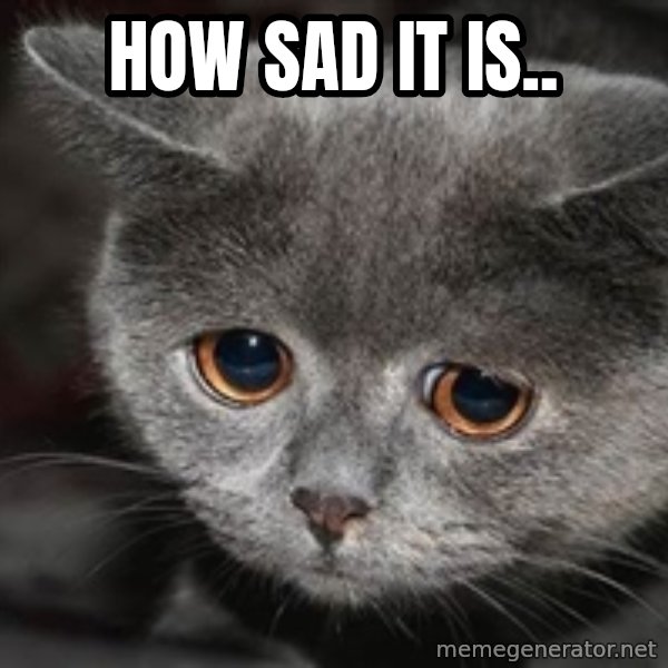 Sadcat meme: HOW SAD IT IS..