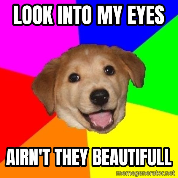 Advice Dog meme: LOOK INTO MY EYES / AIRN'T THEY BEAUTIFULL