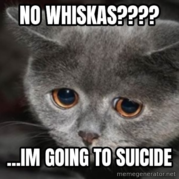 Sadcat meme: No Whiskas???? / ...im going to suicide