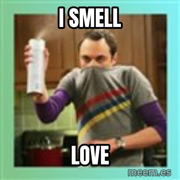 Sheldon Cooper spray can meme: I smell / love