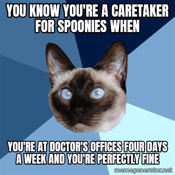 Chronic Illness Cat meme: You know you're a caretaker for spoonies when / you're at doctor's offices four days a week and you're perfectly fine