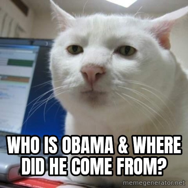 Serious Cat meme: who is obama & where did he come from?