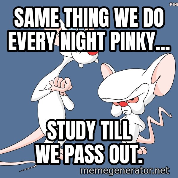 Pinky And The Brain meme: Same thing we do every night Pinky... / Study till we pass out.