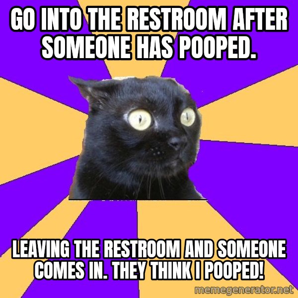 Anxiety Cat meme: Go into the restroom after someone has pooped. / Leaving the restroom and someone comes in.  They think I pooped!