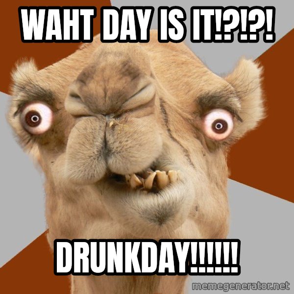 Crazy Camel lol meme: waht day is it!?!?! / DRUNKDAY!!!!!!