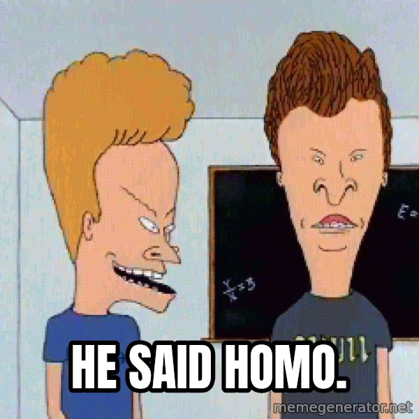 Beavis and butthead meme: He said homo.