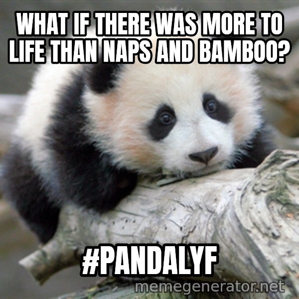 sad panda meme: What if there was more to life than naps and bamboo? / #PANDALYF