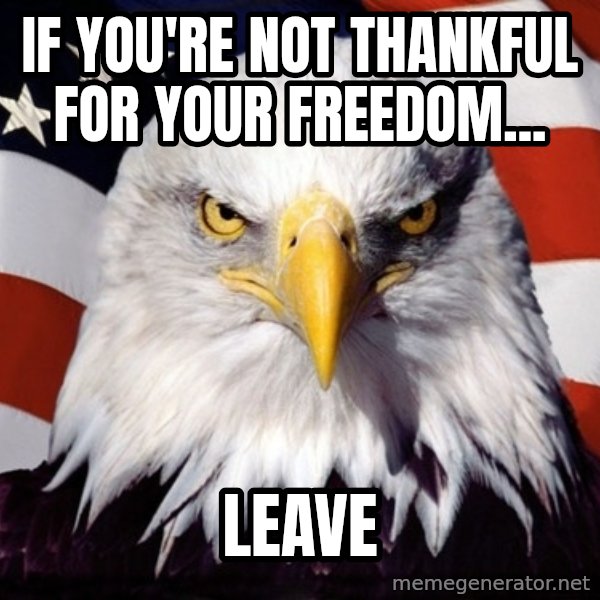 American Pride Eagle meme: If you're not thankful for your freedom... / LEAVE