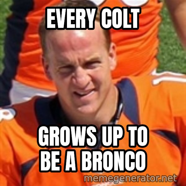 Peyton Manning 2 meme: Every Colt / Grows up to be a Bronco