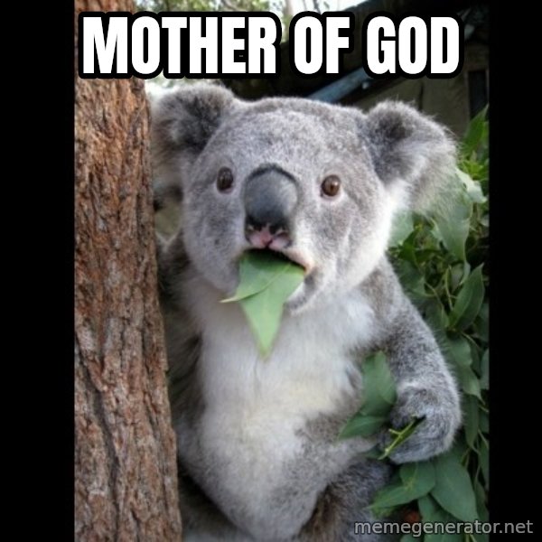 Koala can't believe it meme: Mother of god