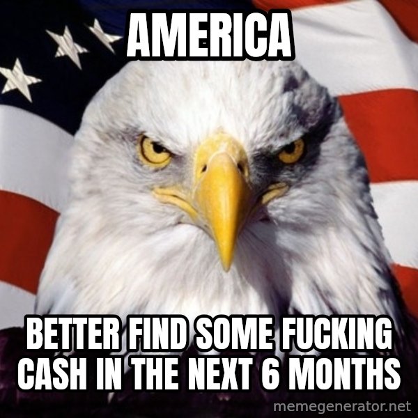 American Pride Eagle meme: america / better find some fucking cash in the next 6 months