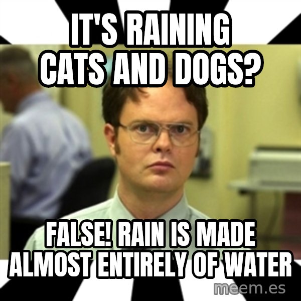 Dwight from the Office meme: it's raining cats and dogs? / False! rain is made almost entirely of water