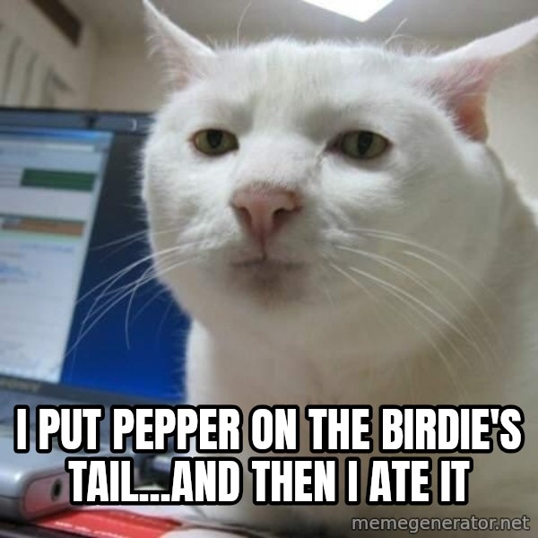 Serious Cat meme: i put pepper on the birdie's tail...and then i ate it