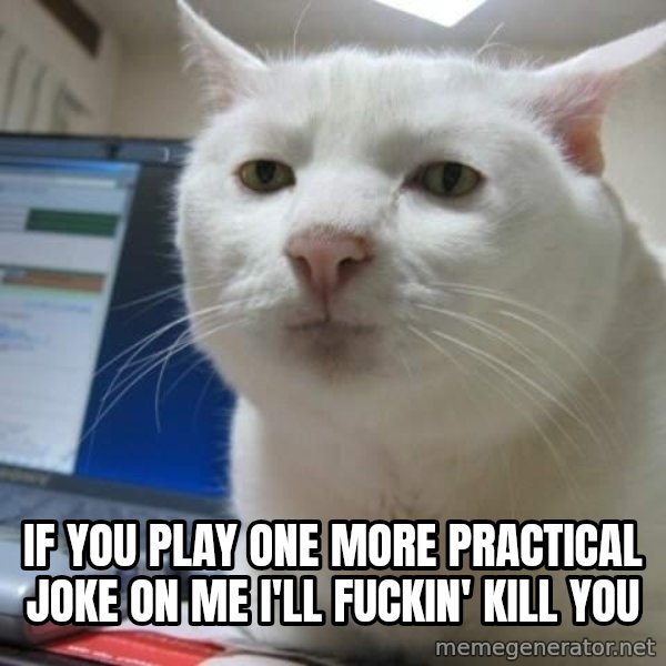 Serious Cat meme: if you play one more practical joke on me i'll fuckin' kill you