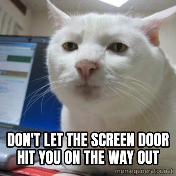 Serious Cat meme: don't let the screen door hit you on the way out