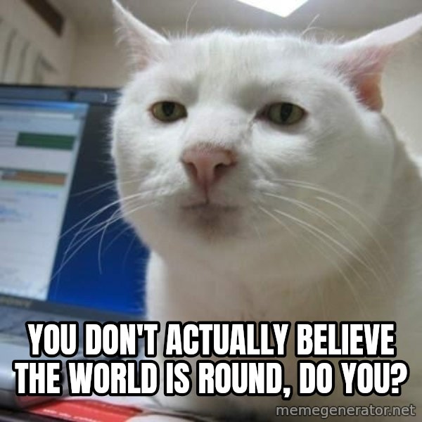 Serious Cat meme: you don't actually believe the world is round, do you?