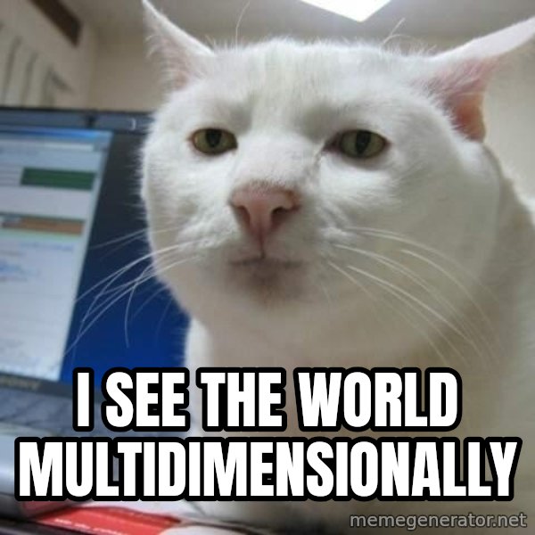 Serious Cat meme: i see the world multidimensionally