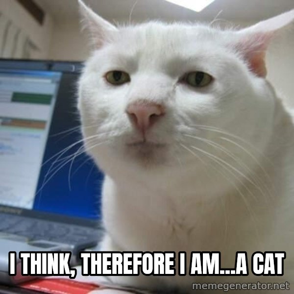 Serious Cat meme: i think, therefore i am...a cat