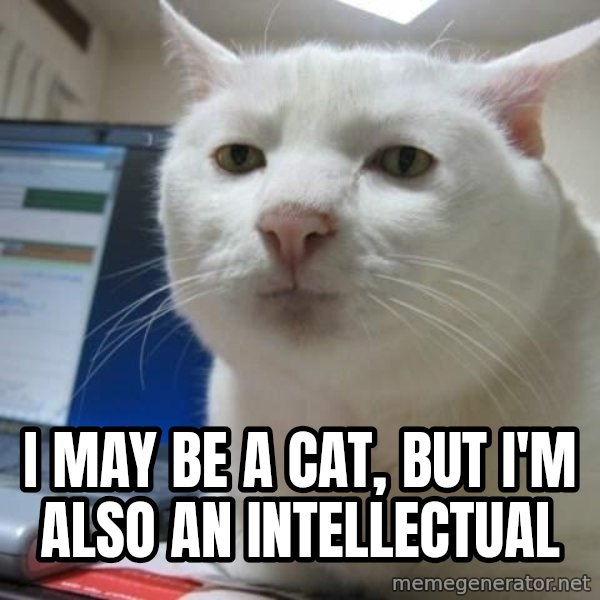 Serious Cat meme: i may be a cat, but i'm also an intellectual