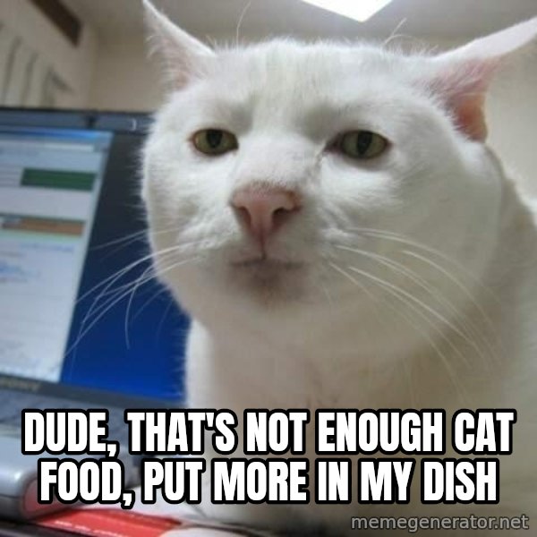 Serious Cat meme: dude, that's not enough cat food, put more in my dish