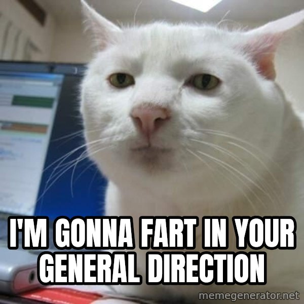 Serious Cat meme: i'm gonna fart in your general direction