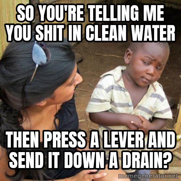 Skeptical 3rd World Kid meme: so you're telling me you shit in clean water / then press a lever and send it down a drain?