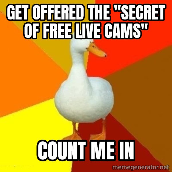 Technologically Impaired Duck meme: get offered the "secret of free live cams" / count me in