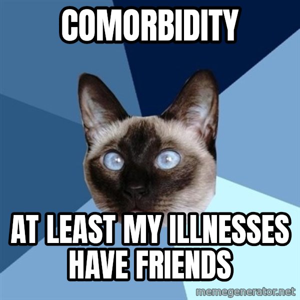 Chronic Illness Cat meme: Comorbidity / at least my illnesses have friends