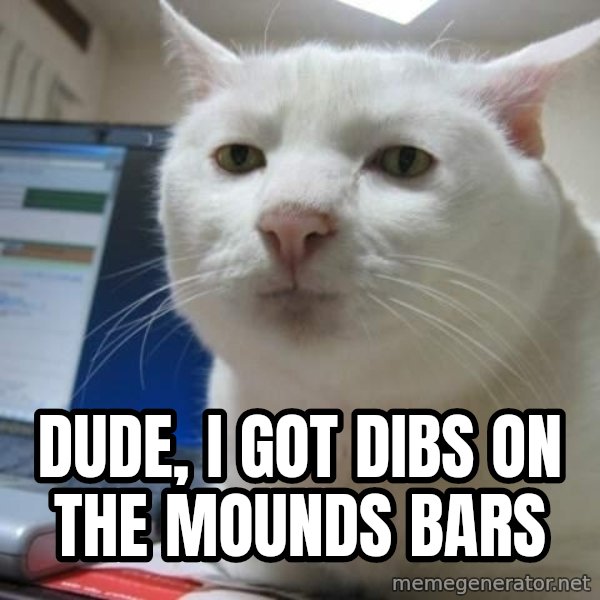 Serious Cat meme: dude, i got dibs on the mounds bars