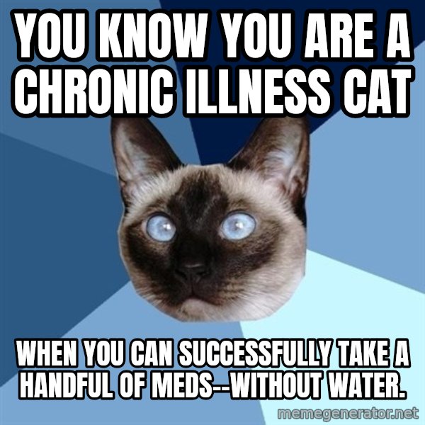 Chronic Illness Cat meme: You know you are a Chronic Illness Cat / When you can successfully take a handful of meds--without water.