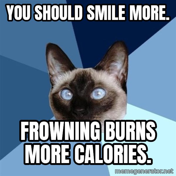 Chronic Illness Cat meme: You should smile more. / frowning burns more calories.