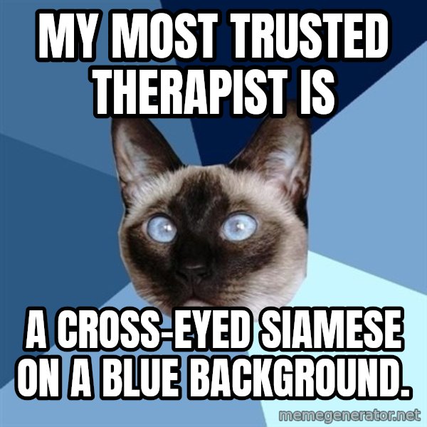 Chronic Illness Cat meme: My most trusted therapist is / a cross-eyed siamese on a blue background.