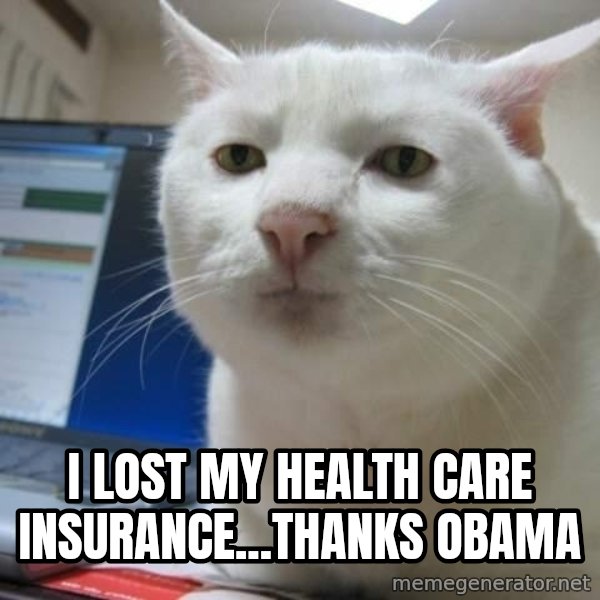 Serious Cat meme: i lost my health care insurance...thanks obama